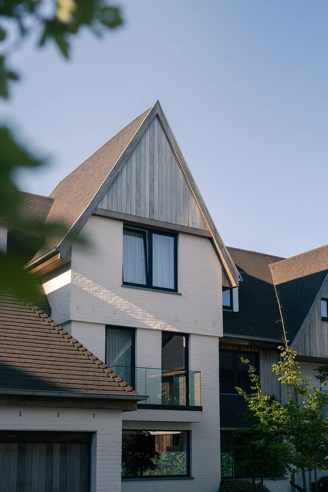 Residentiële gevel met hout en schilderwerk