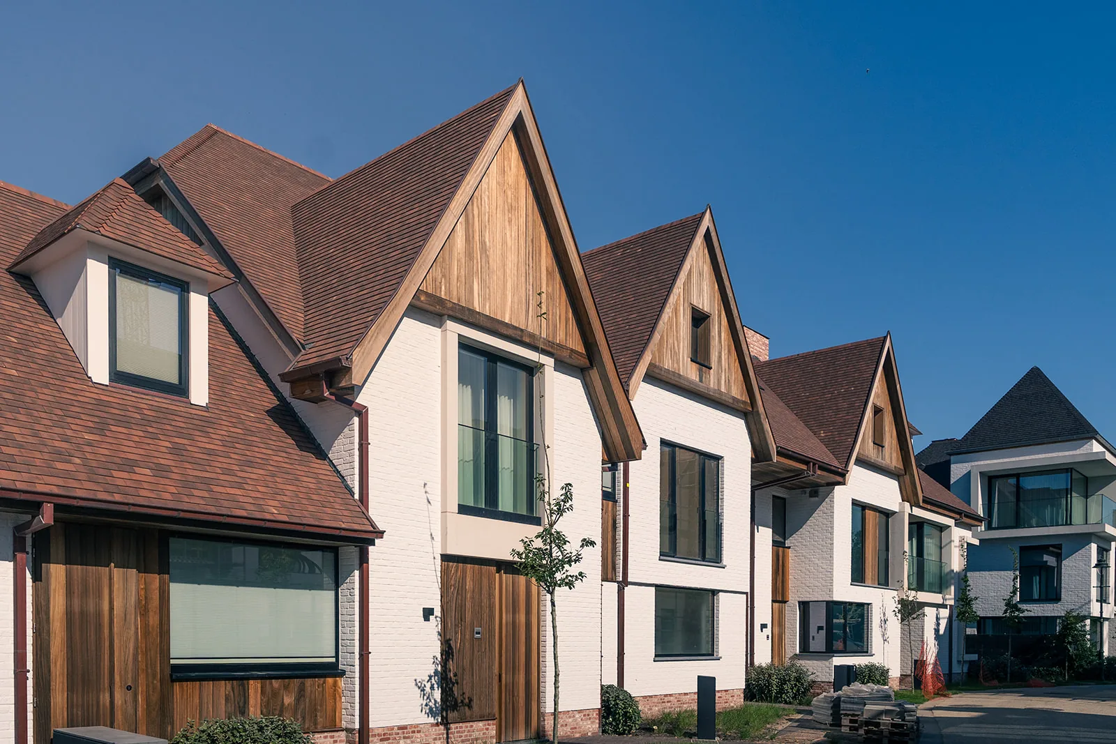 Gevelrenovatie met houtaccenten